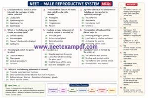 male reproductive system mcqs