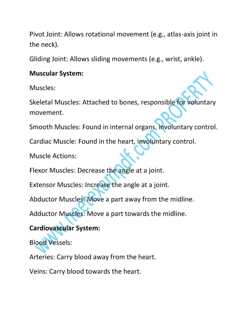 Anatomy visual data 6